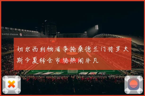 切尔西利物浦争抢桑德兰门将罗夫斯今夏转会市场热闹非凡