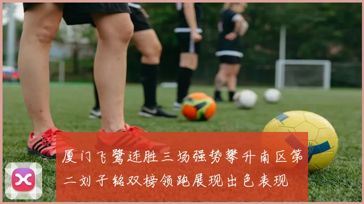 厦门飞鹭连胜三场强势攀升南区第二刘子铭双榜领跑展现出色表现